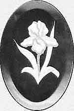 Iris Engraved Bevel