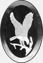 Eagle Engraved Bevel